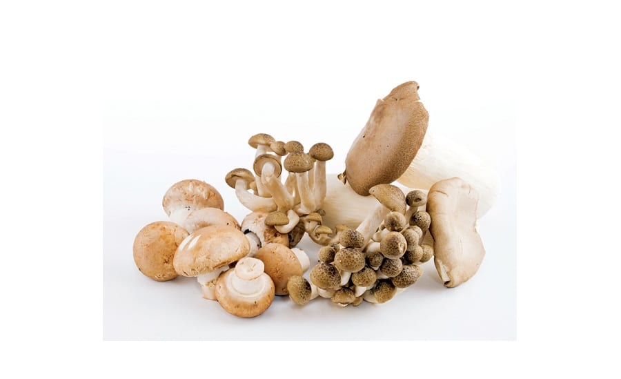 Obtiene el super-antioxidante ergotioneina designación GRAS