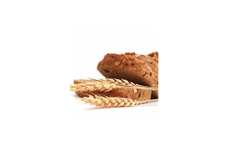 Otorgan patente global a Enzima POWERMill