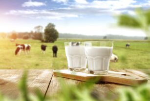 producción-sustentable-en-la-industria-láctea