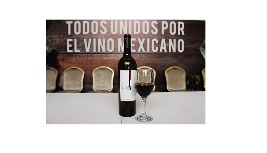 Promueven oportunidades para la industria vitivinícola