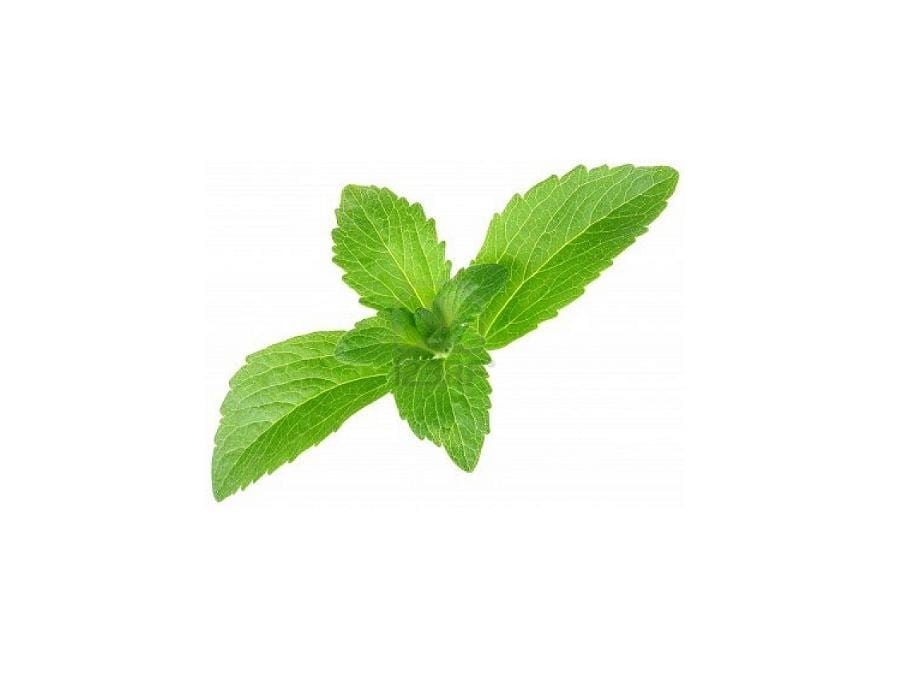 Recomiendan el uso de Stevia