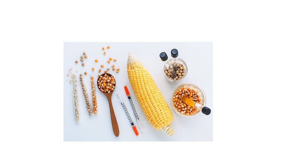 Revoluciona la biotecnología a la industria de A&B