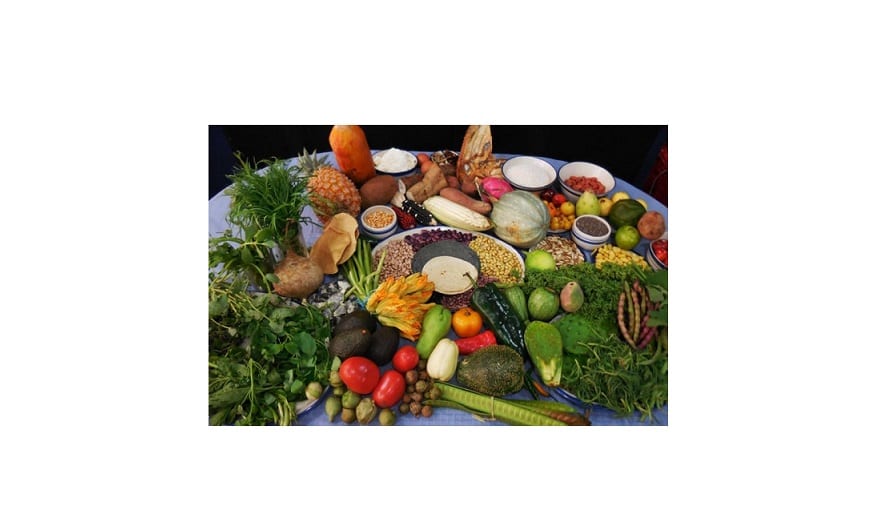 Señalan 50 alimentos que beneficiarán al planeta