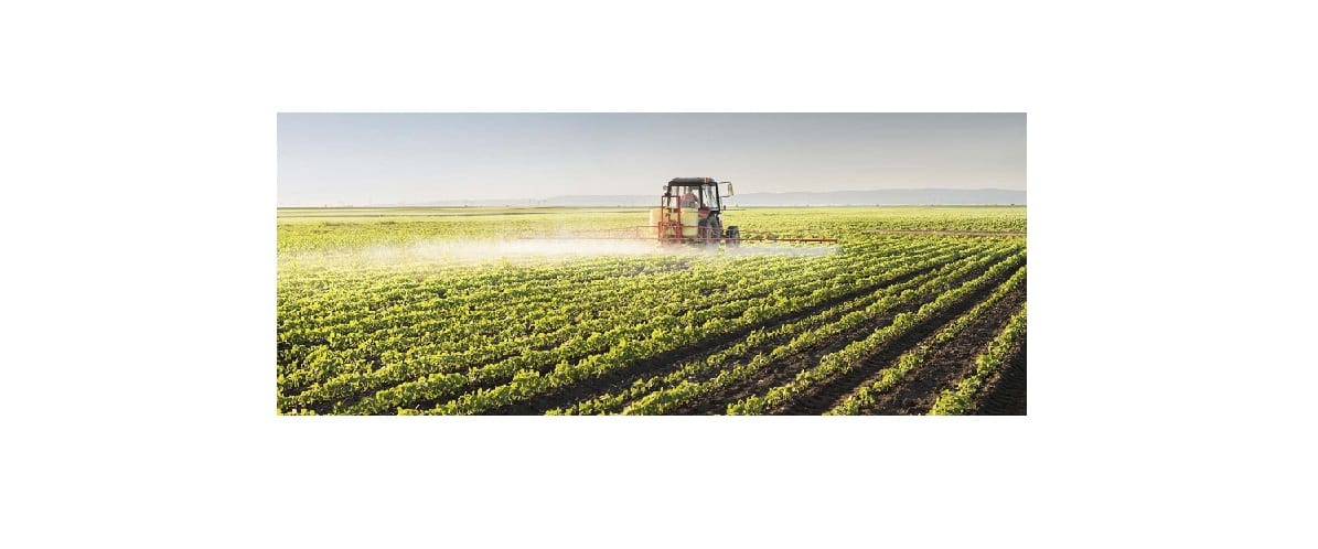 Señalan a la agroindustria como un motor para el desarrollo