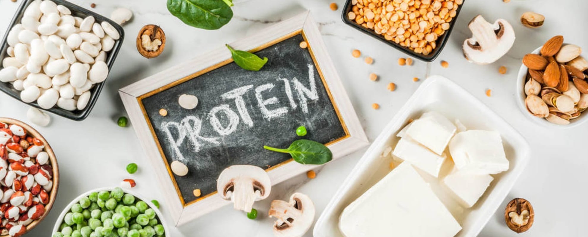 Subrayan factores a considerar en la selección de proteínas