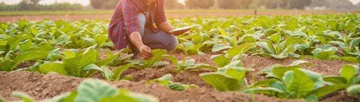 sustentabilidad-y-economía-circular