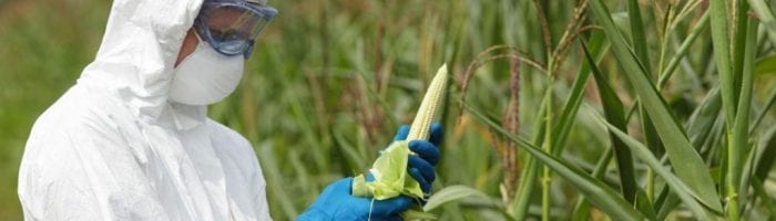 Biotecnologia-en-la-agricultura
