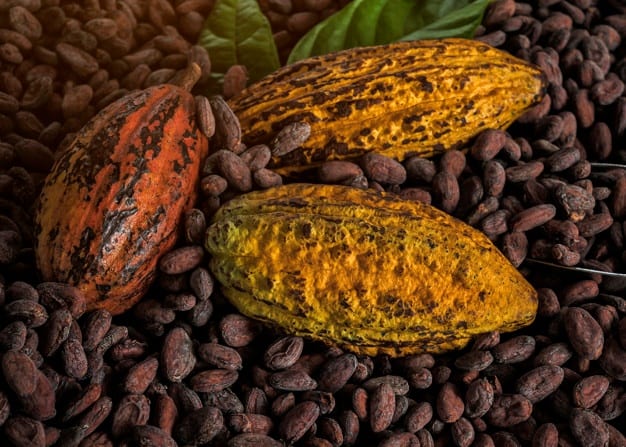 pulpa-cacao