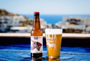 Baja-Brewing-Suculenta