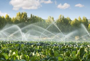 agua en la agricultura