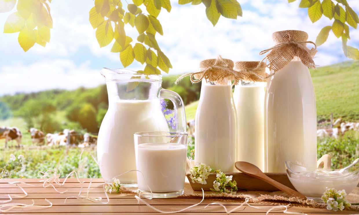 Por qué la leche adaptada es en polvo?