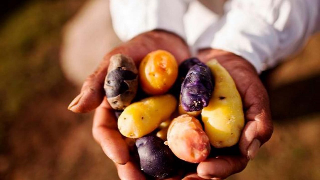 La inseguridad alimentaria aguda alcanza su nivel más crítico