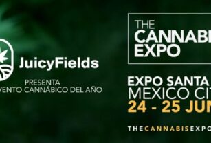 The-cannabis-expo