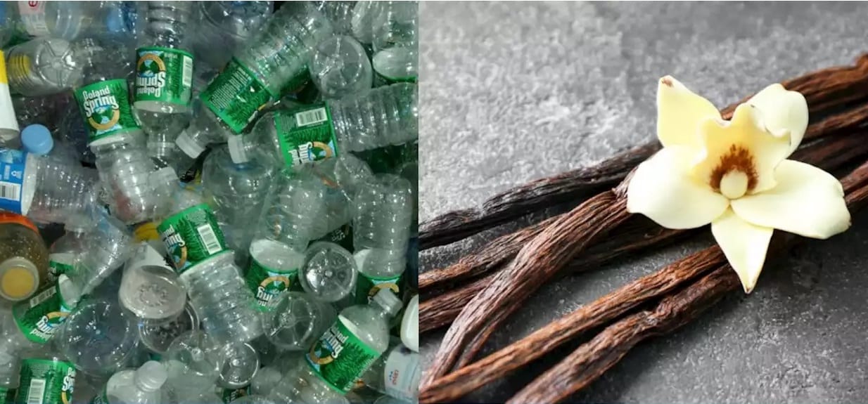 Convierten botellas de plástico en saborizante de vainilla