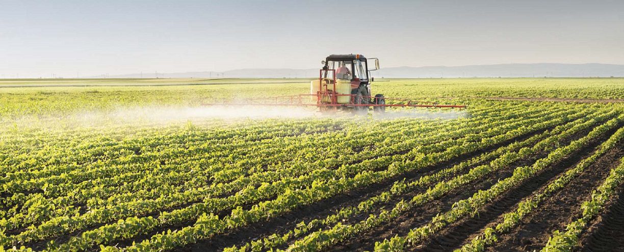 Las cadenas de suministro agrícolas se descentralizan en América Latina