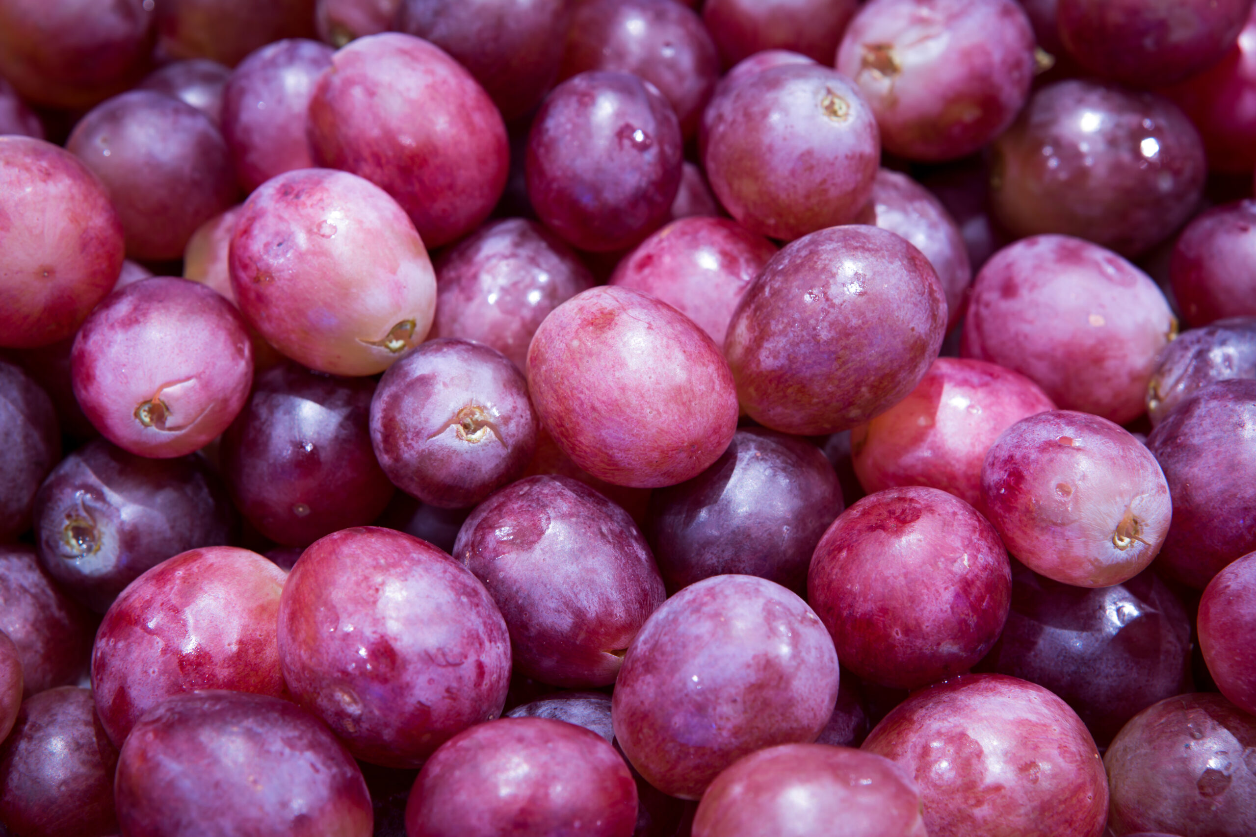 Las uvas de Perú ingresan por primera vez al mercado japonés