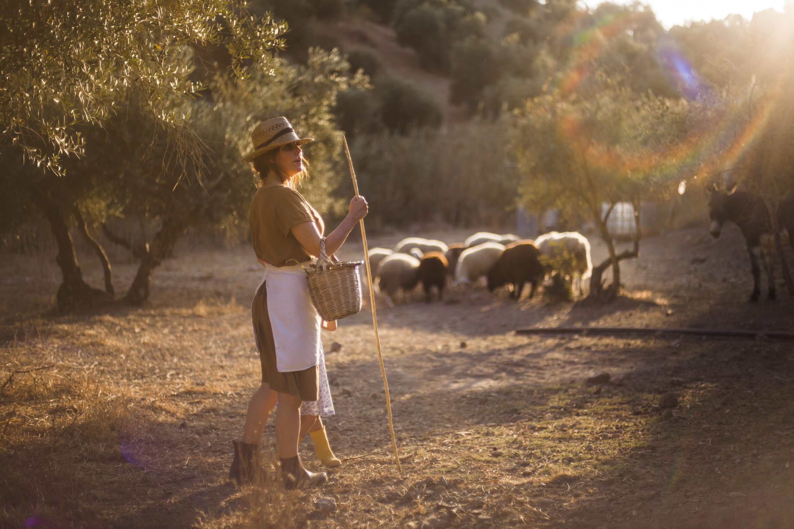 Criar ganado mediante pastoreo favorece a un mejor futuro