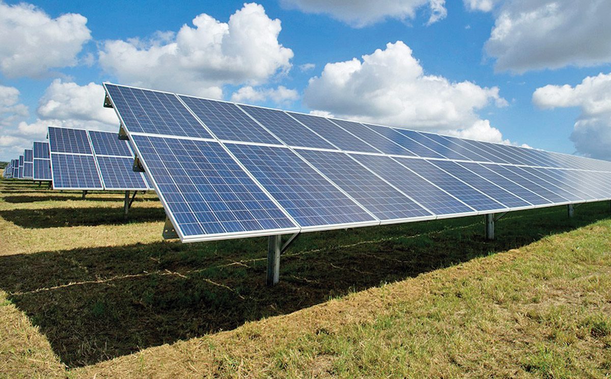 La energía solar impulsa la sustentabilidad en la industria alimentaria