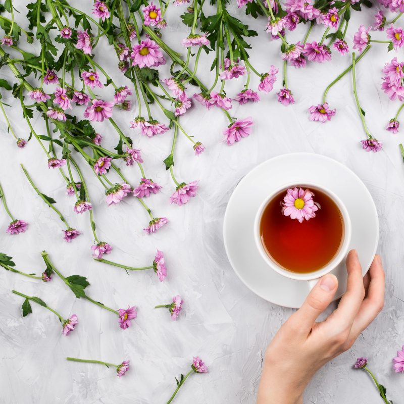 Magical Botanical: el sabor del año de Firmenich