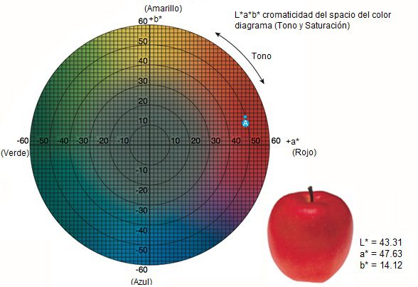 medición-de-color-en-alimentos-espacio-de-color