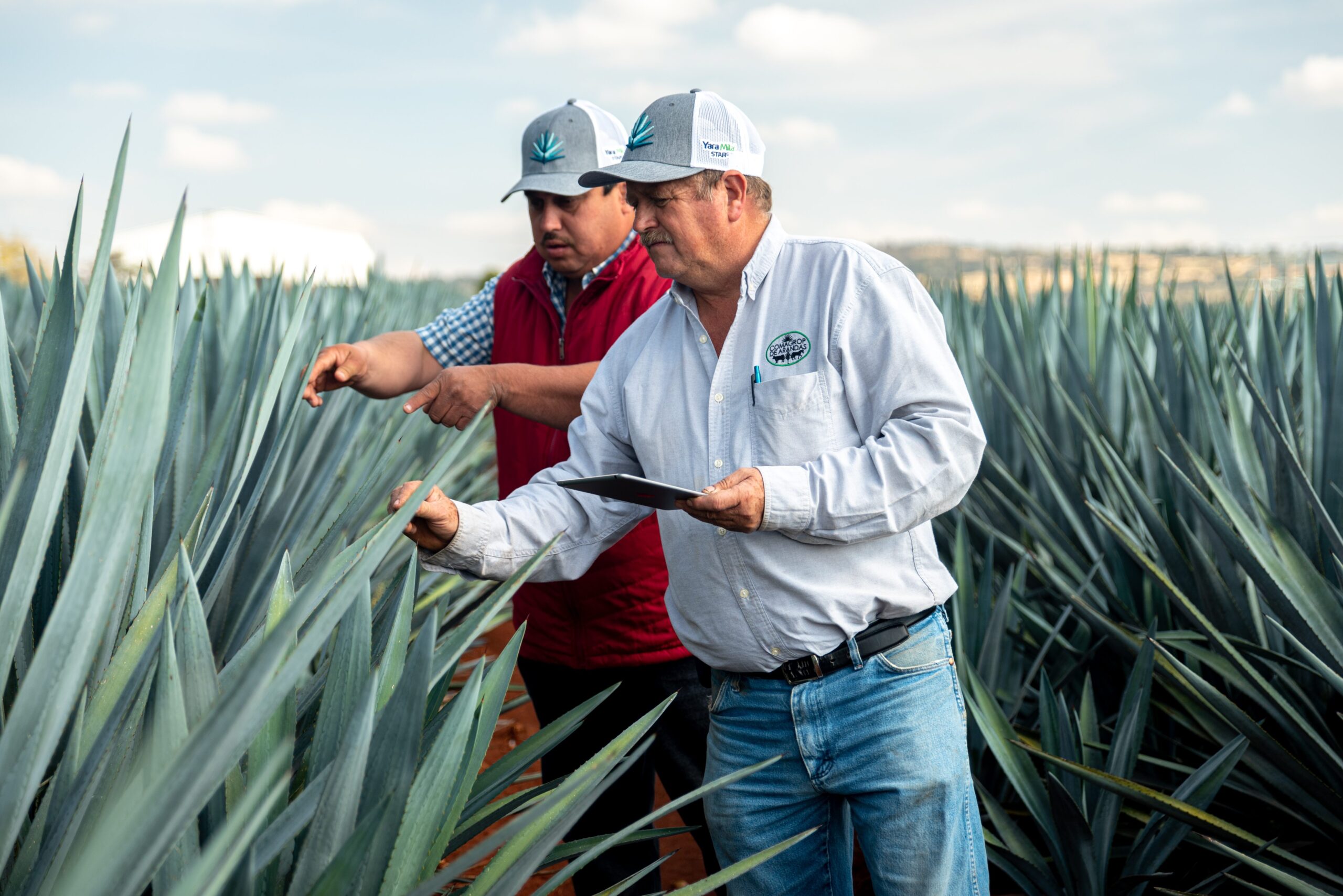 El estado mundial de la agricultura y la alimentación 2021: Lograr