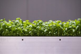 Future Crops New Investment Round