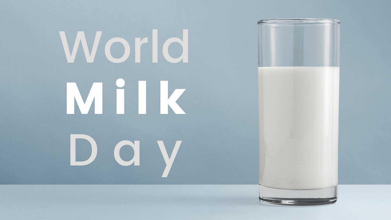 Día internacional de la leche