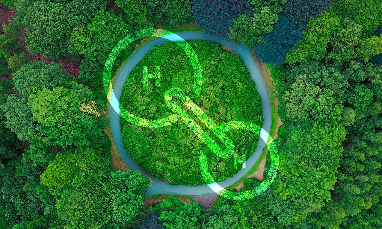 El camino digital hacia el sector del hidrógeno verde