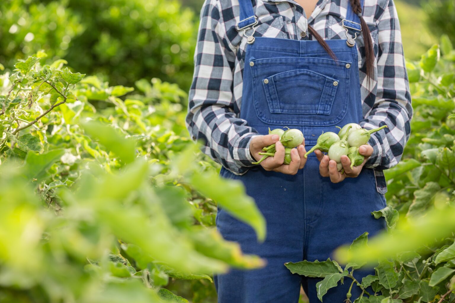 Productos-agrícolas