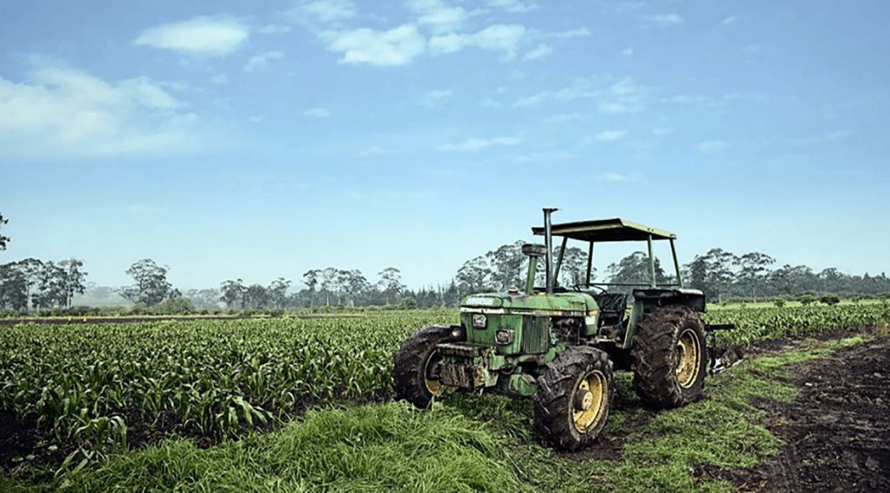 Agroindustria, un motor para la transformación