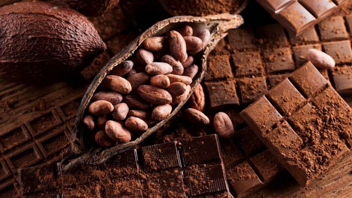 cacao-chocolate