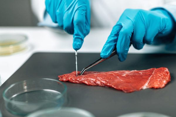 food-safety-and-quality-control-testing-red-meat
