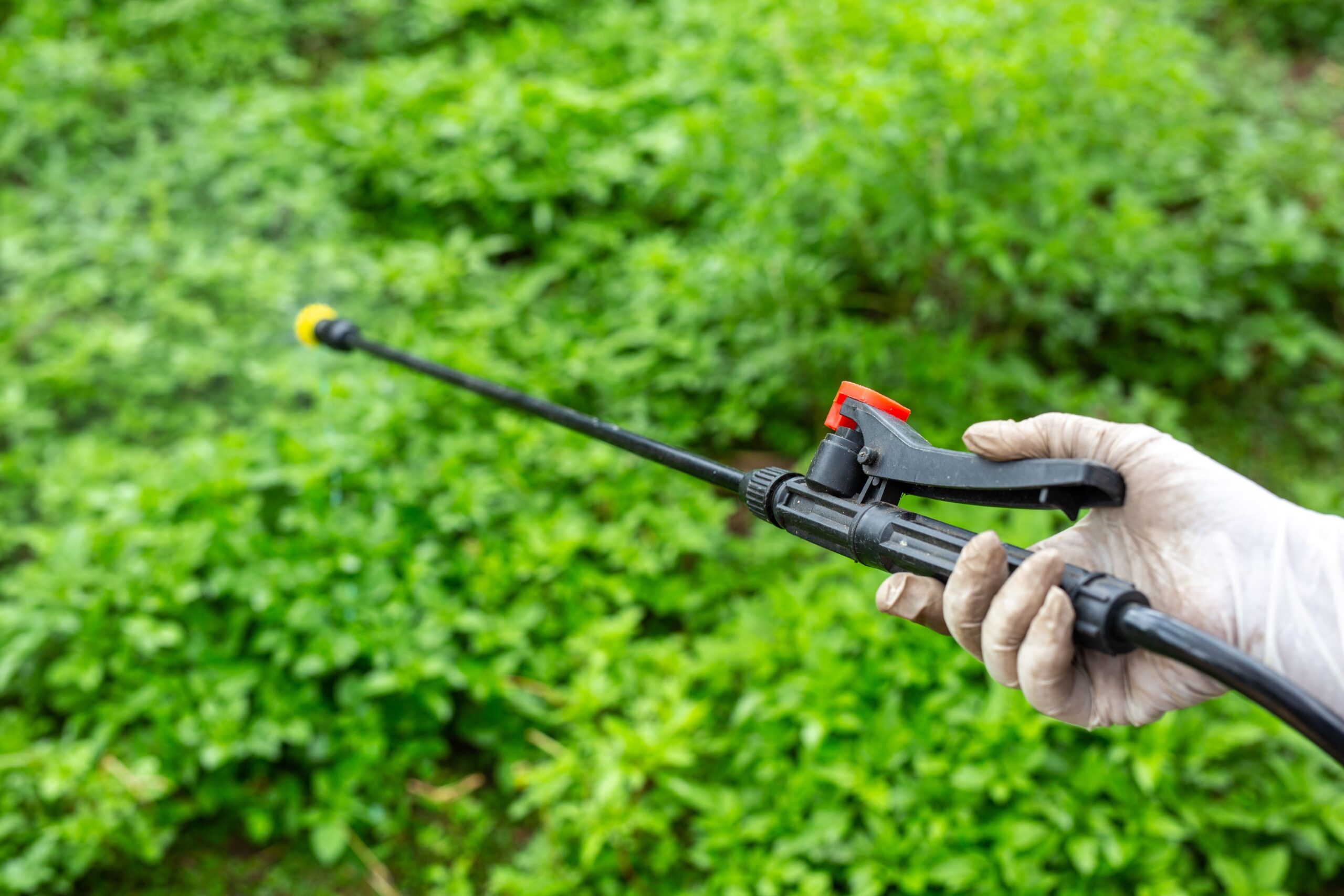 La agroindustria lanza campaña contra el comercio ilegal de plaguicidas