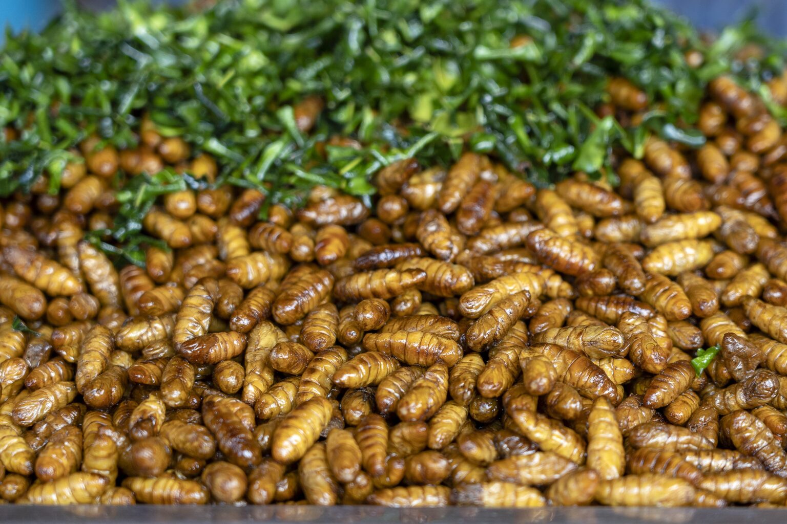 alimentos-del-futuro