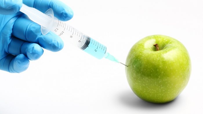 alimentos-transgenicos