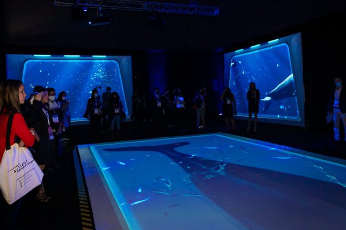 THE IMMERSIVE ZONE