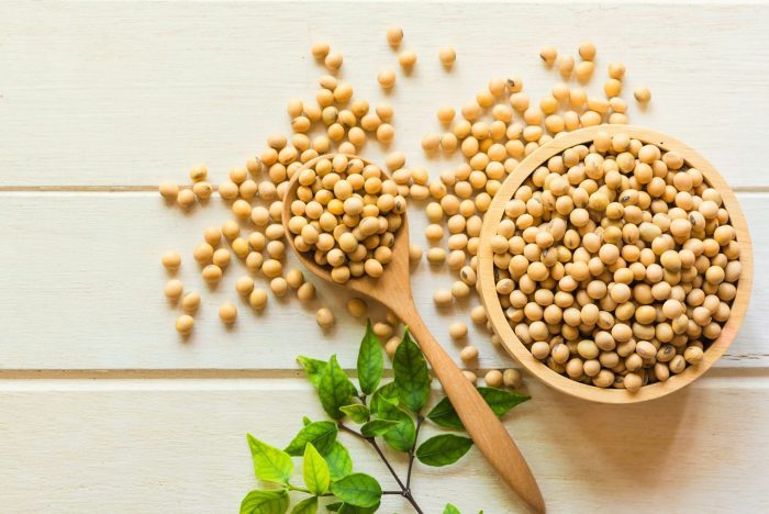 Soya