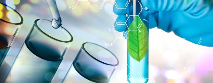 Química verde, hacia procesos más sostenibles y productos más puros