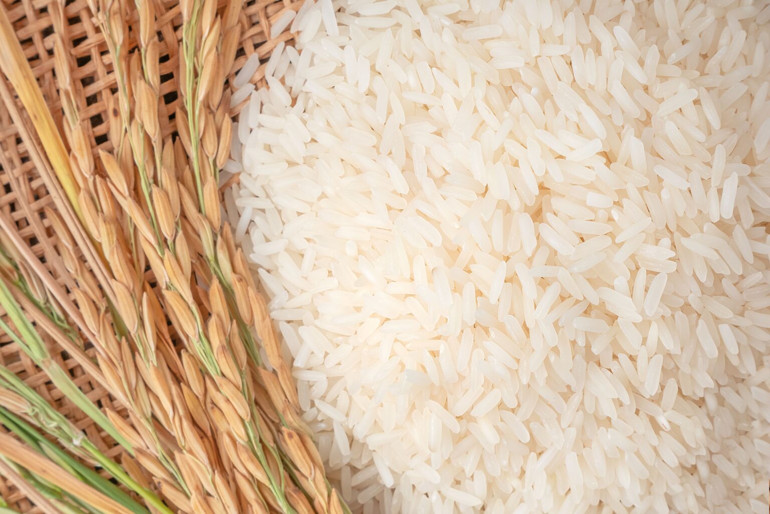 pasaporte Monografía Docenas Aumenta la demanda de arroz debido al alza de precios del trigo