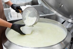 Filling molds for the production of soft cheese at a private cheese factory.