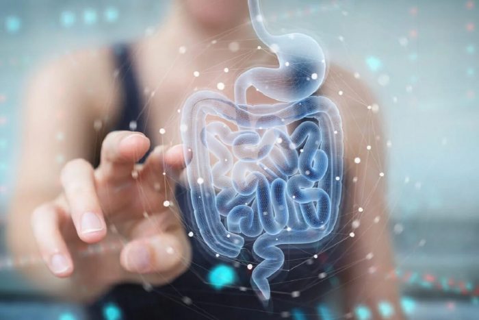 Salud del intestino se asocia con la alimentación del microbioma