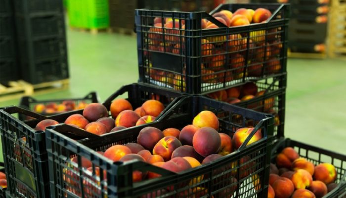 EFSA certifica proceso de reciclado de CAPEC