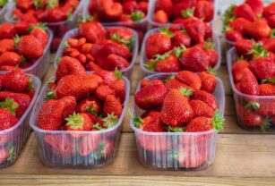 Red ripe fresh strawberry packed in plastic boxes at wholesale s
