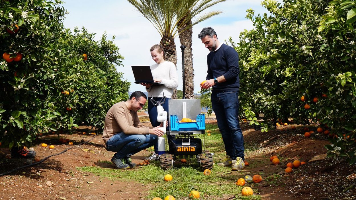 Mediante soluciones tecnológicas, el sector agroalimentario podría afrontar la digitalización