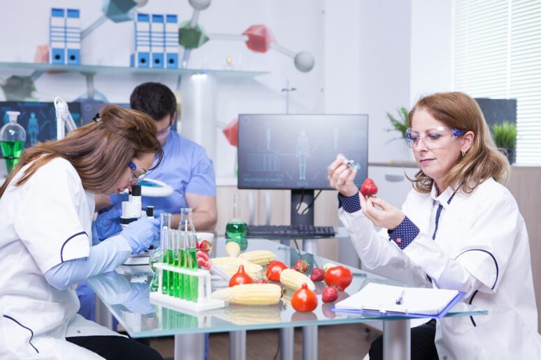 Calidad de los alimentos, trascendental en la industria alimentaria