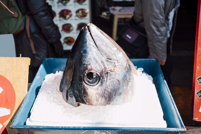 Tuna head in fish market
