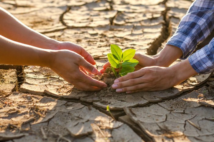 El cambio climático pone en riesgo los cultivos a nivel global