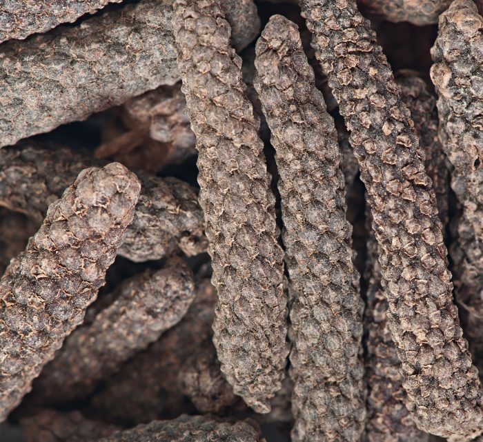 piper-longum-adaptogenos