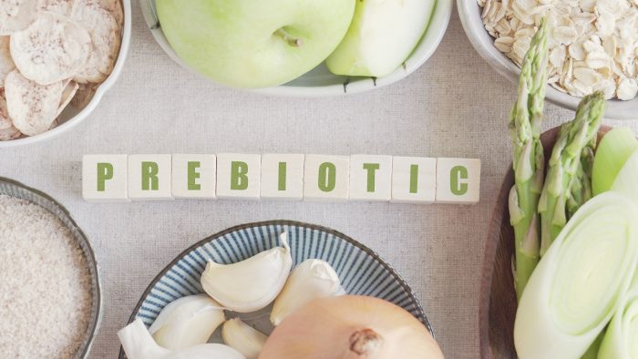 prebioticos