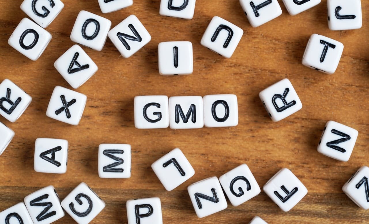 GMO